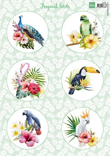 Marianne Design - Knipvel - Tropical Birds