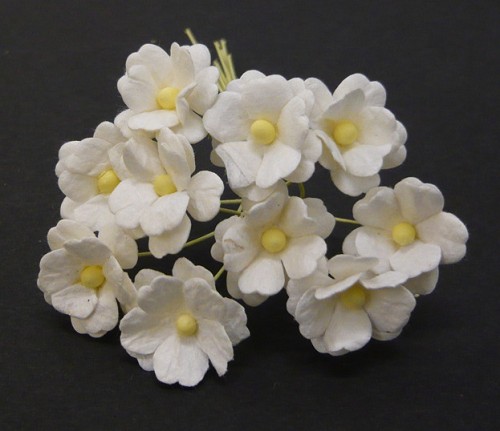Sweetheart Blossom Flowers - White